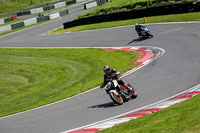 cadwell-no-limits-trackday;cadwell-park;cadwell-park-photographs;cadwell-trackday-photographs;enduro-digital-images;event-digital-images;eventdigitalimages;no-limits-trackdays;peter-wileman-photography;racing-digital-images;trackday-digital-images;trackday-photos